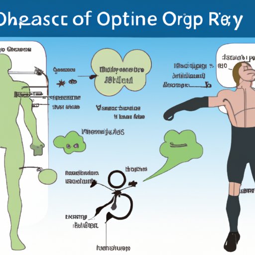 Understanding the Role of Oxygen in the Respiratory and Muscular Systems