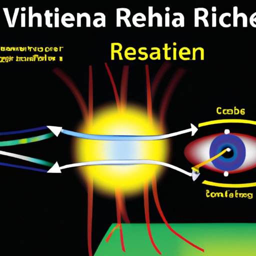 Visualizing the Retina: How It Works to Process Sight
