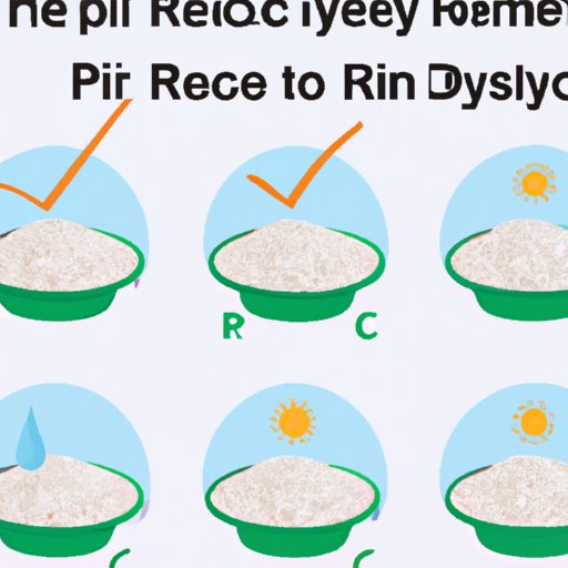 A Comprehensive Guide to Taking the Rice Purity Test