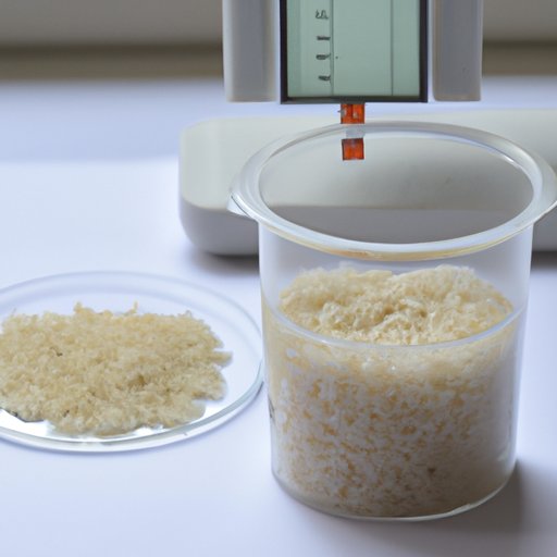 Investigating the Social Impact of the Rice Purity Test