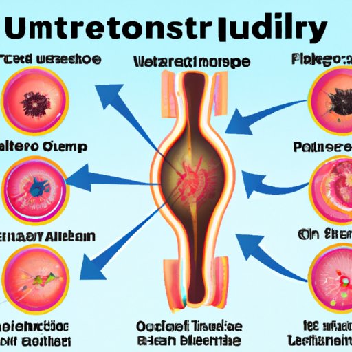 Effects of Urinary System Dysfunction