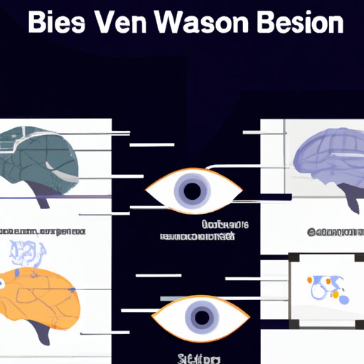 The Science Behind Vision: How the Brain Processes What We See