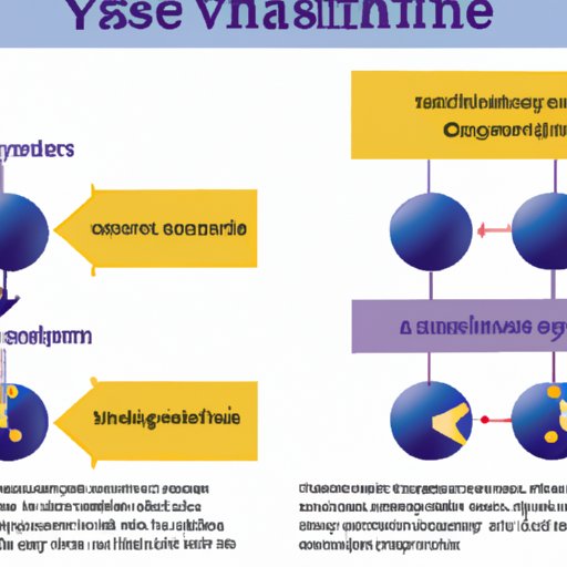 Understanding Vyvanse: A Comprehensive Guide to its Mechanism of Action