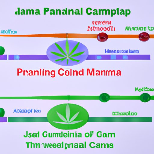 Comparing Cannabis to Other Medicines and Their Effects on Pain and Inflammation
