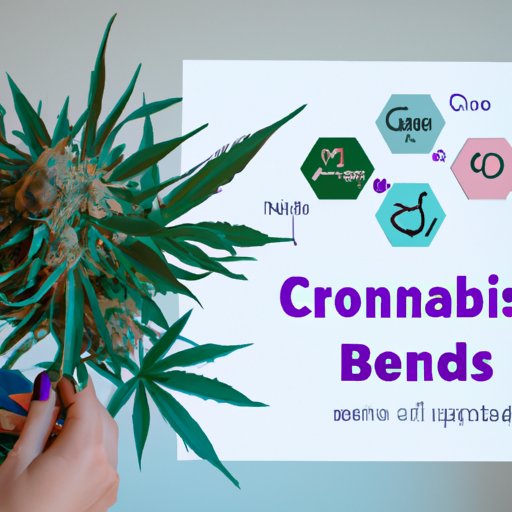 Examining the Different Types of Cannabinoids and Their Effects on the Human Brain