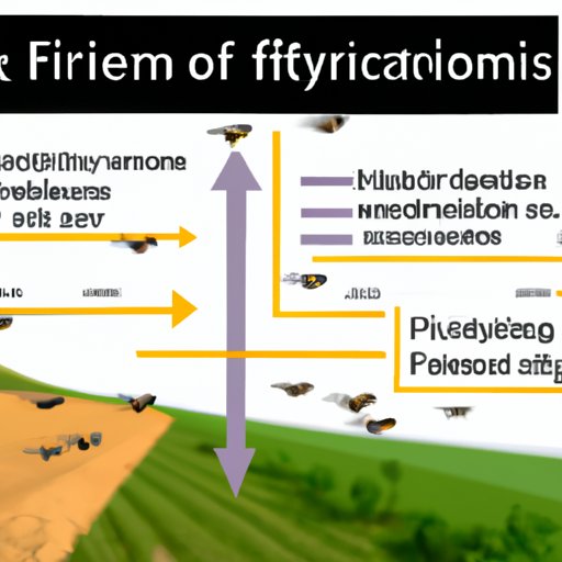 Factors That Impact Fly Migration
