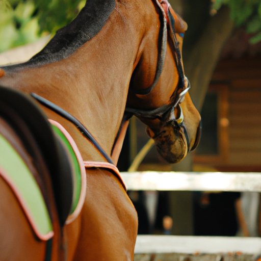 How Far Can You Travel on Horseback in a Day? The Enlightened Mindset