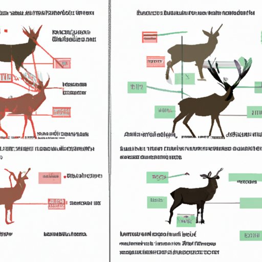 Comparing and Contrasting the Migratory Habits of Male Deer During the Rutting Season