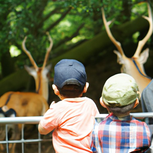 How Far Do Deer Travel? Exploring the Migration Patterns of Different