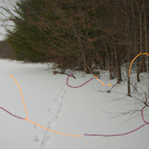 How Far Do Deer Travel From Where They Are Born? The Enlightened Mindset