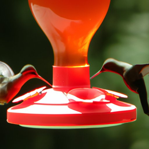 From North to South: Exploring the Incredible Distance Hummingbirds Travel Each Year