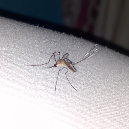 Exploring the Range of a Mosquito