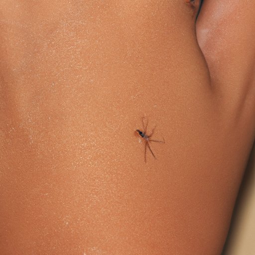 Exploring the Range of a Mosquito Bite