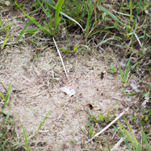 Impact of Human Activity on Mosquito Range