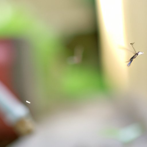 Maximum Range of Mosquito Flight