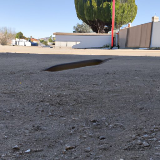 A Look at How Far a 12 Gauge Slug Can Fly