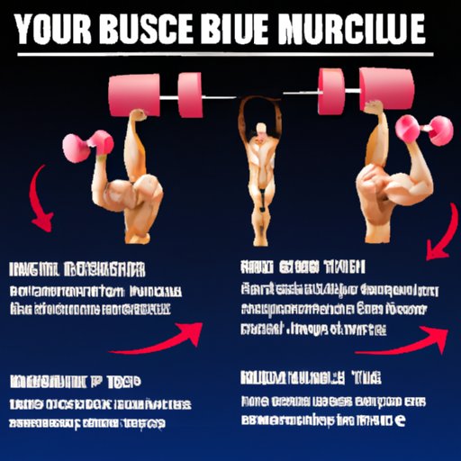 The Science Behind Building Muscle Quickly and Effectively