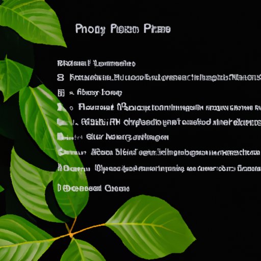 How Fast Does Prednisone Work for Poison Ivy? The Enlightened Mindset