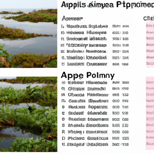 Comparing AP Environmental Science to Other AP Courses