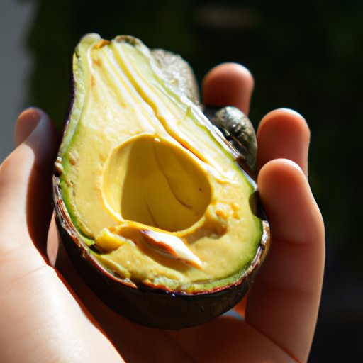 A Comprehensive Guide to the Health Benefits of Avocado Consumption