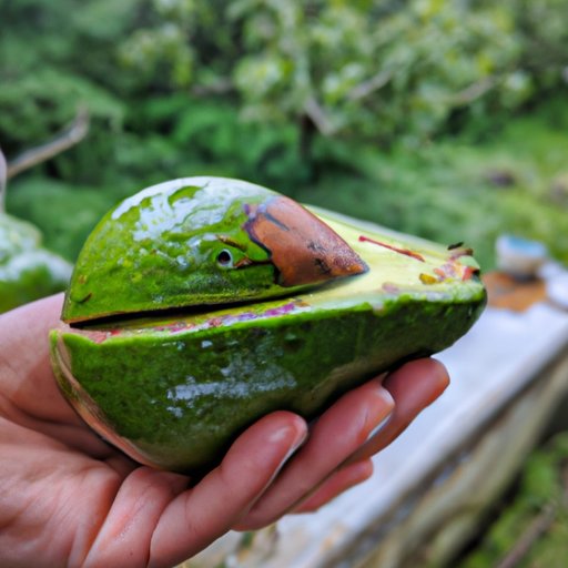 Exploring the Health Benefits of Avocados