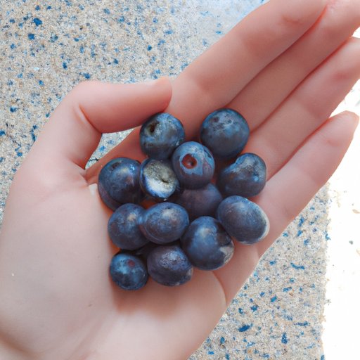 Eating Blueberries for Optimal Wellness