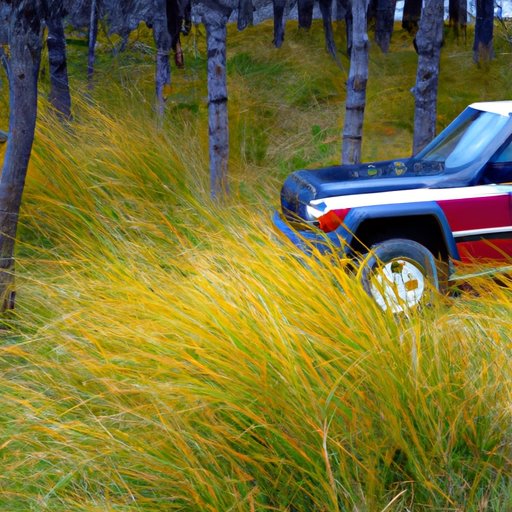 Section 3: Examining Alternative Sources of Funding for Land Purchase