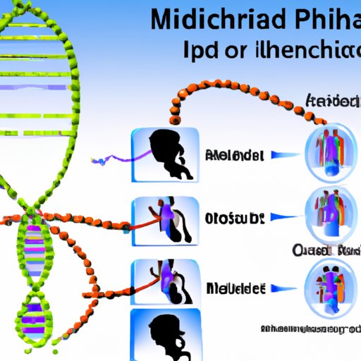 Uncovering the Mysteries of Mitochondrial DNA in Human Health
