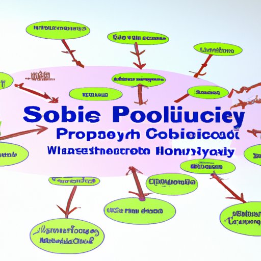 Analyzing the Role of Public Sociology in Community Problem Solving