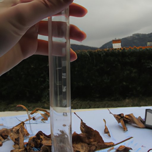 IV. Investigating How El Niño and La Niña Could Affect the Coming Winter