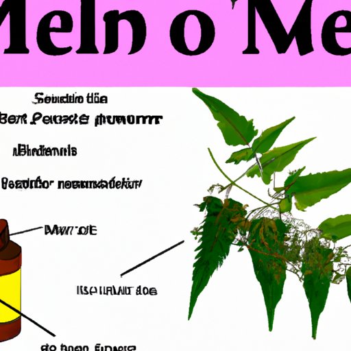 A Guide to Using Neem Oil During the Late Flowering Stage
