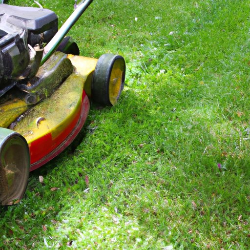 Mowing After Seeding: What You Need to Know Before You Start