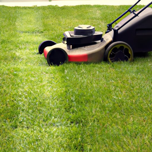 The Best Time to Mow After Seeding: A Guide for New Lawn Owners