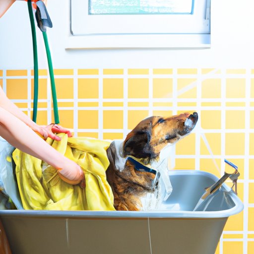 Understanding the Right Timing for Bathing a Dog After Surgery
