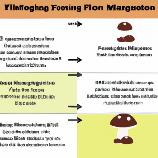 An Overview of the Factors That Affect Mushroom Trip Length