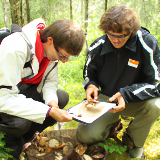 Examining the Duration of a Mushroom Trip