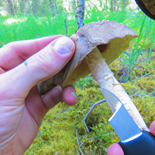Understanding the Duration of a Mushroom Trip: What You Need to Know