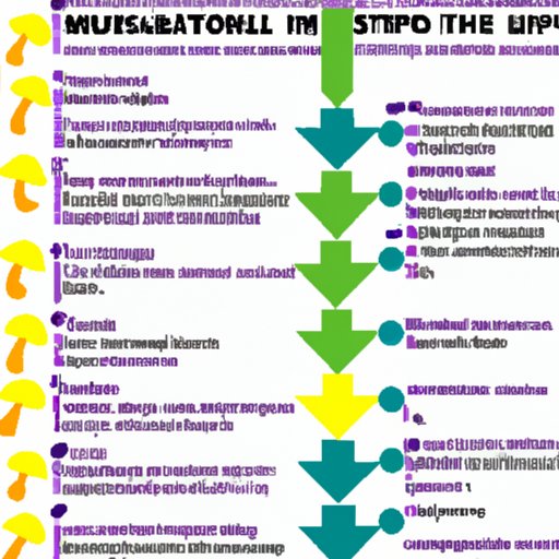 A Comprehensive Guide to the Duration of a Shroom Trip