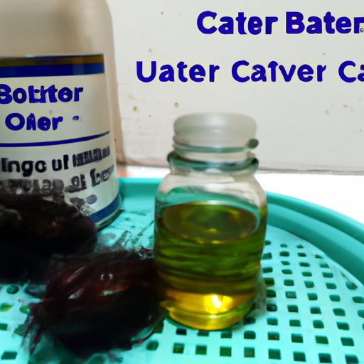 How Long Does Castor Oil Take to Work for Labor? A Guide for Expectant
