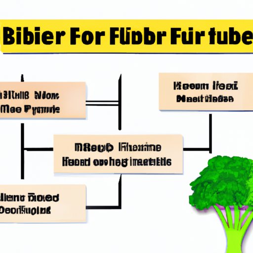 How Long Does Fiber Take to Work? Exploring How Dietary Fiber Impacts
