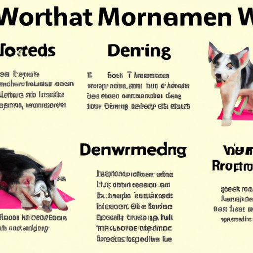 The Benefits of Deworming Your Pet and How Long It Takes to See Results