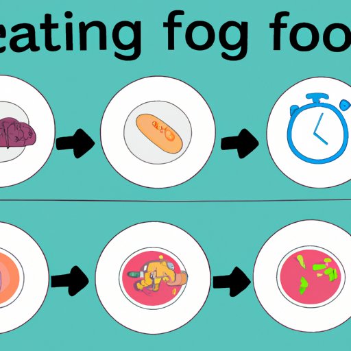 Exploring Different Types of Food and How Long it Takes for Each to be Digested