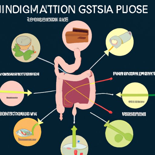 Overview of the Digestive Process