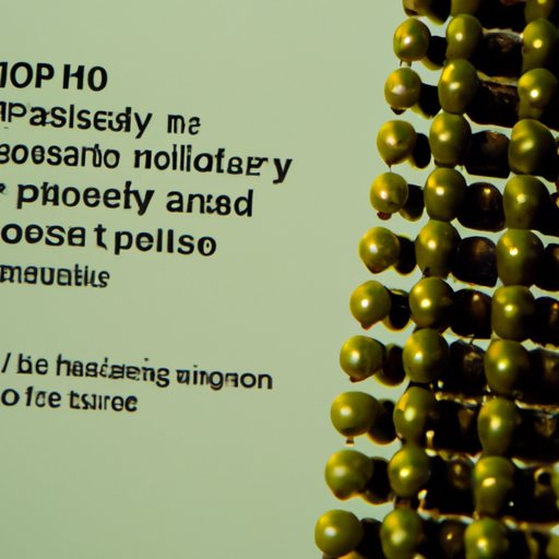 Explaining the Process: A Guide to How Long Misoprostol Takes to Work Orally 