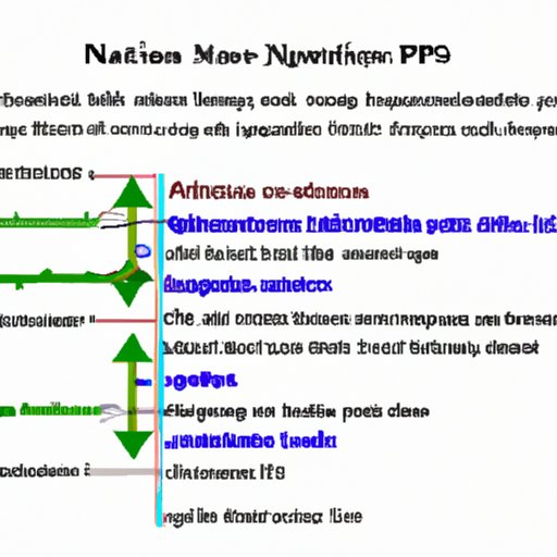 How Long Does It Take for Nexplanon to Work? The Enlightened Mindset