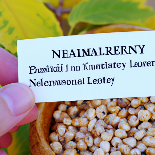 Summary of the Benefits of Slippery Elm