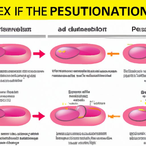A Comprehensive Guide to Understanding the Onset of Action of the Pill