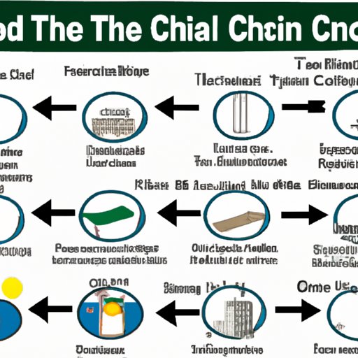 A Timeline of Steps to Becoming a Chiropractor