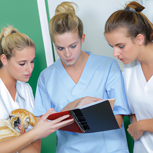 Exploring the Requirements for Becoming a Vet Assistant