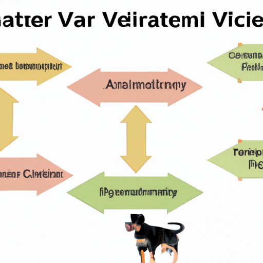 Analyzing Different Career Paths for Veterinarians